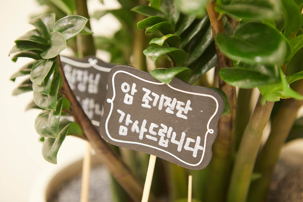 부평연세비뇨기과 진료실복도 — 삼산동 삼산동비뇨기과 관련 진료